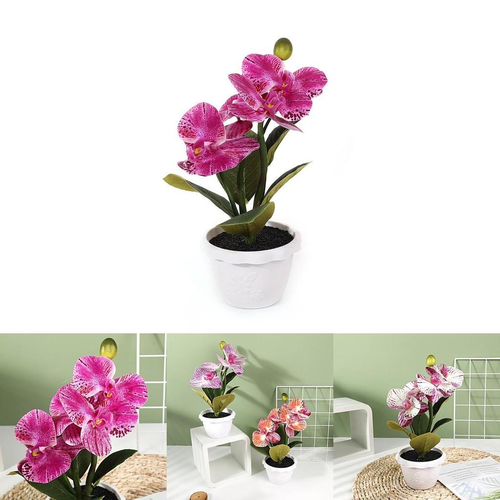 Realistic Silk Phalaenopsis Artificial Plant For Indoor Decoration And Photography Backgrounds