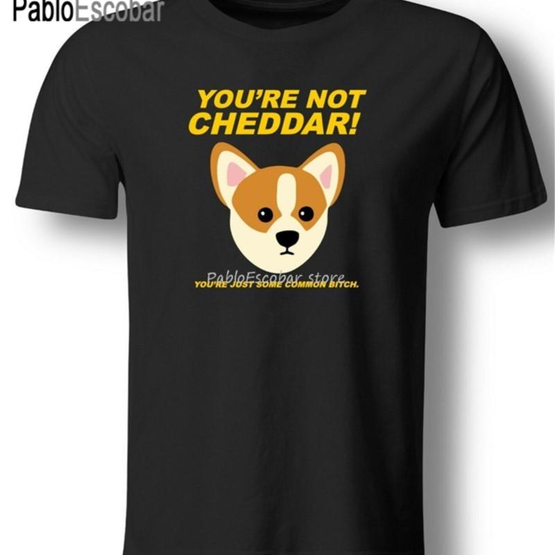 YouRe Not Cheddar YouRe Just Some Common Nine Nine TShirt Brooklyn 99 Holt Harajuku Hip Hop Tee Shirt S