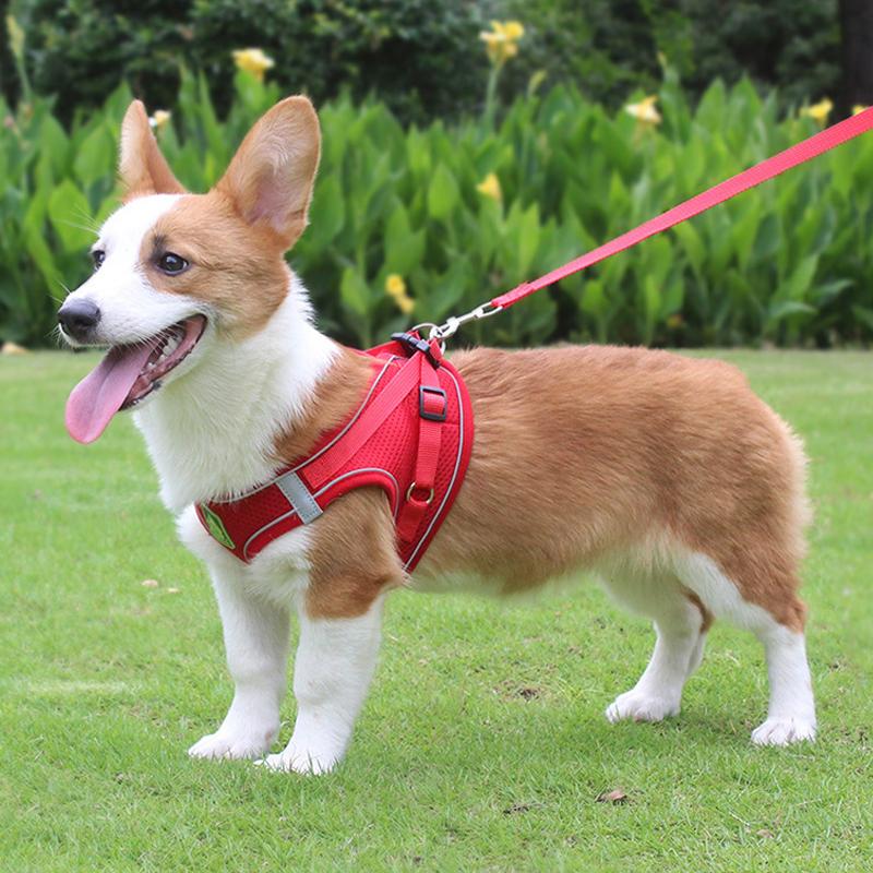 Reflective Lightweight Breathable Dog Harness with Leash - Soft Comfort Pet Vest for Dogs Cat (6 Colors)