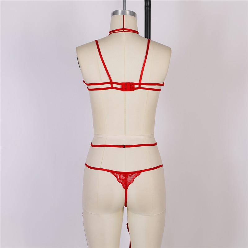 Women Sexy Solid Perspective  Underwear Set Lace Lingerie Set Lady'S Bra And Panty Garters See Through Lingerie Sets