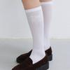 THETIS LACE Label SEMI-STOCKING SOCKS_TT5W703WH