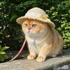 Cappello di Paglia Morbido con Cappello Gatto in Pizzo Protezione Solare Estiva per Animali Domestici Cane Gatti Carini Cani Piccoli Passeggiate all'Aperto