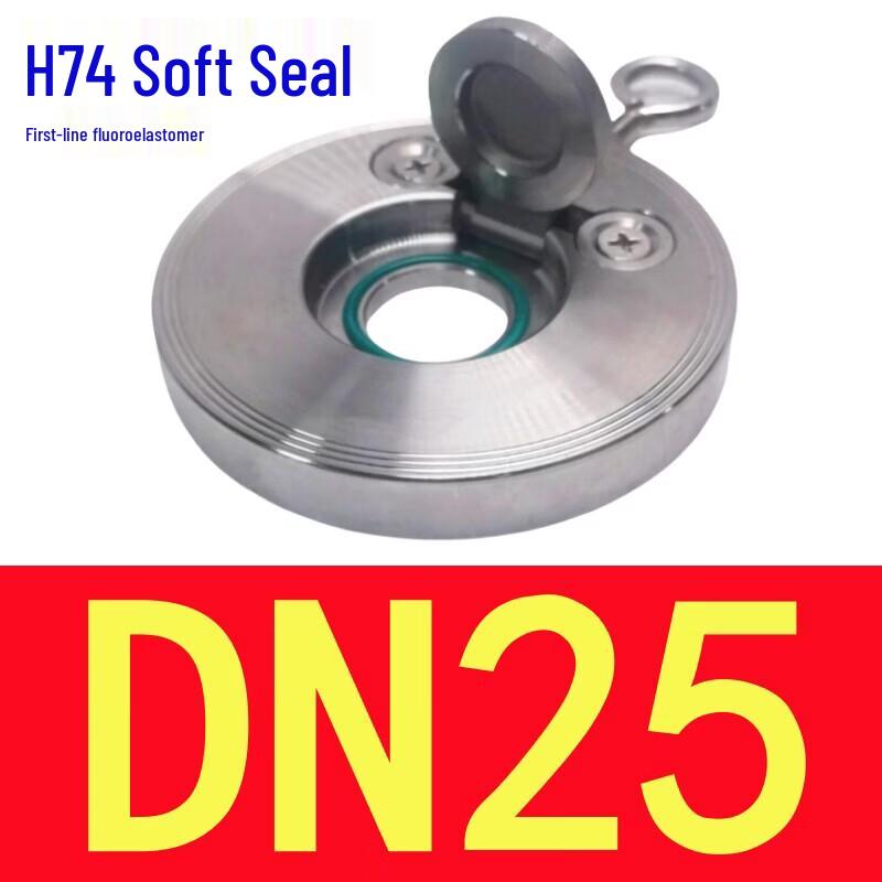 Rongyu DN25 304 Stainless Steel Fluororubber Wafer Check Valve