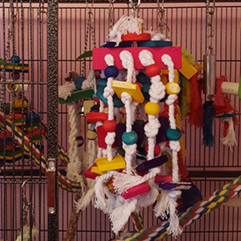 Bird Chewing Toy - Parrot Cage Bite Toys Wooden Block Bird Parrot Toys for Small and Medium Parrots and Birds