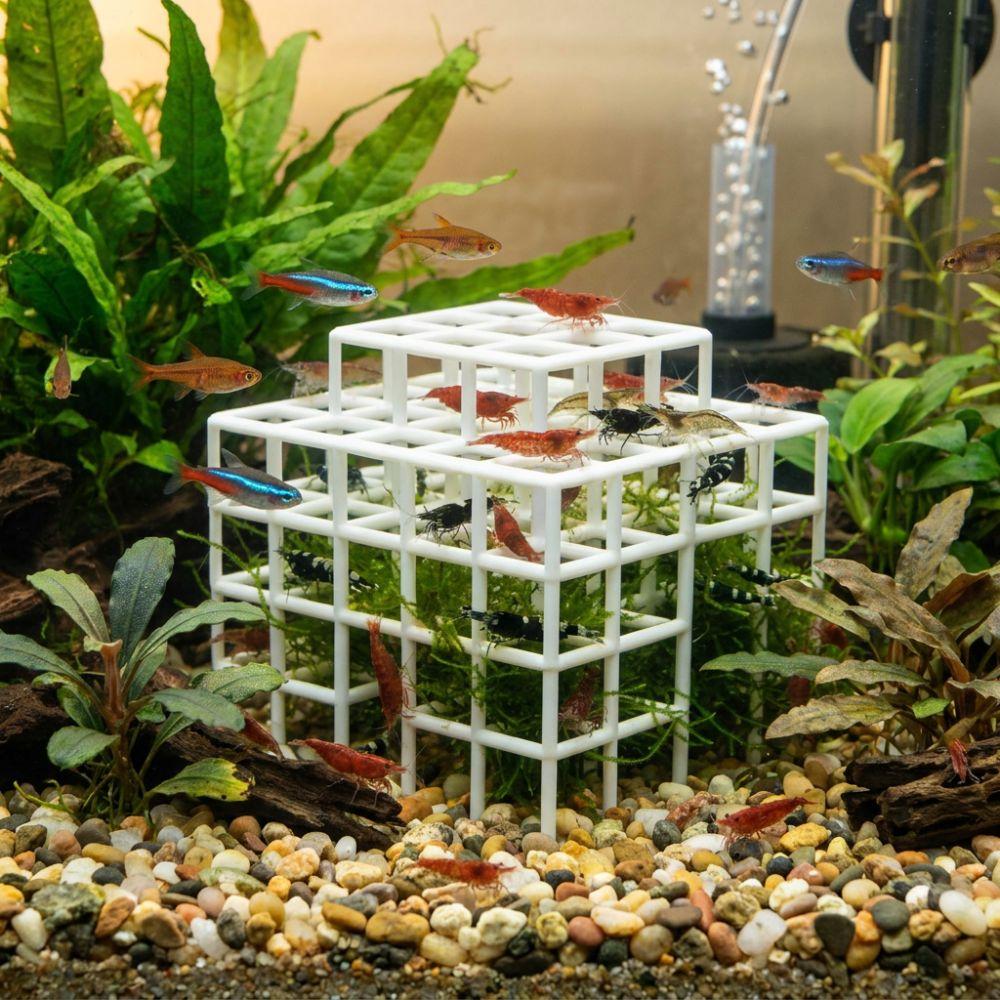 Hollow Out Aquarium Cave Shelter 3D Printed Shrimp Hiding Place  Aquatic Pets