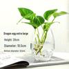 Modern Minimalist Hydroponic Glass Vase for Pothos & Green Plants - Living Room Desk Decor