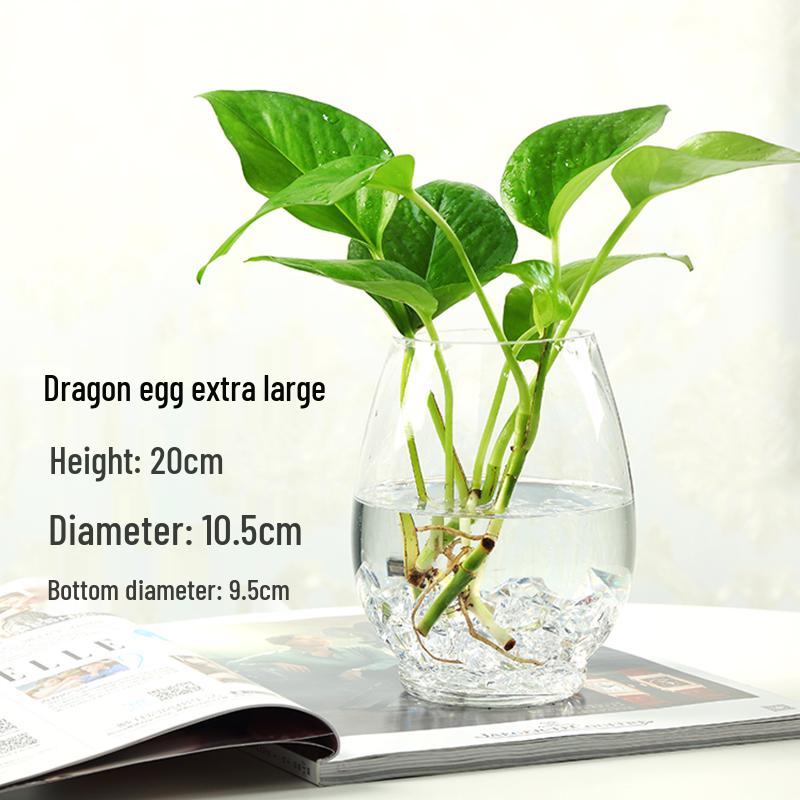 Modern Minimalist Hydroponic Glass Vase for Pothos & Green Plants - Living Room Desk Decor