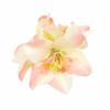 Fashion Hawaiian Flower Hair Clip Colorful 3 Orchids Hair Pins Realistic Hair Accessories for Beach Vacation Party