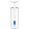 Portable Face Facial Moisturizing Face Steamer Cold Spray Machine Humidifying Spray Skin Test Hydrating Instrument