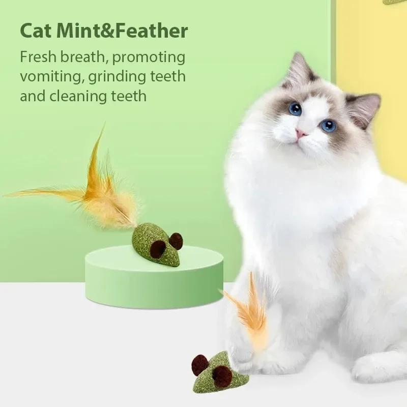 Cat Mint Toy Catnip Feather Ball Toy for Cats Teeth Cleaning Hairball Control Fresh Breath Chew Toy Interactive Play Chewing Toy