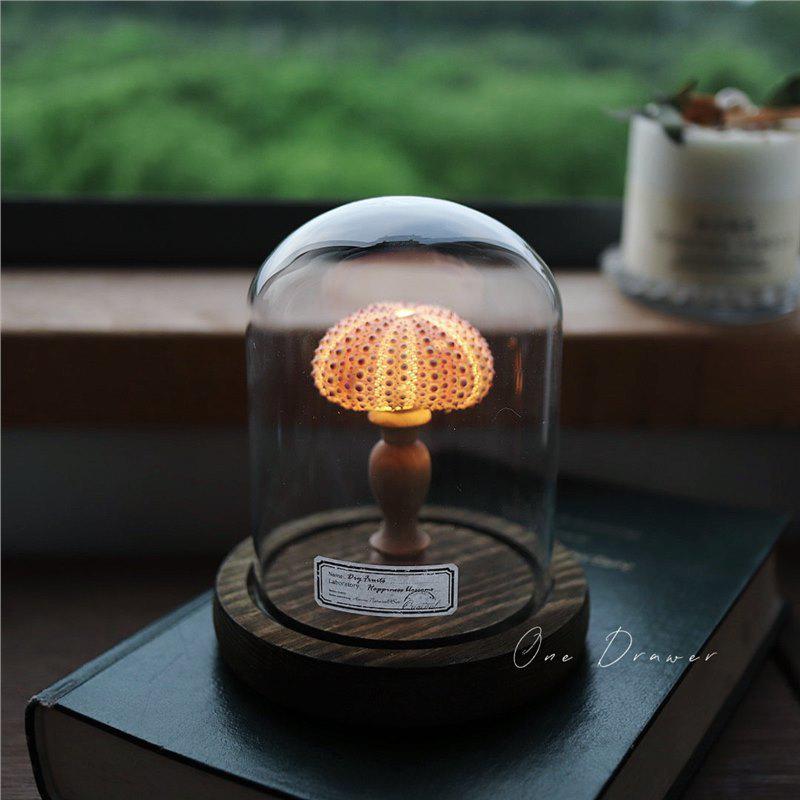 Handmade Ocean Island Retro Seashell & Conch Night Light for Mid-Autumn Festival