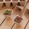 10PCS Paper Pulp Cup Biodegradable Plant Seedling Starter Nursery Tray Gardening Seed Planter Germination Growing Containers