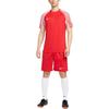 Nike Dri Fit Sports Shorts Men's University Red IB8654-657