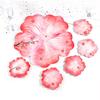 Flower Shape Coaster Mold with Sunlight Edges Fruit Tray Silicone Epoxy Casting Mold for Resin DIY Jewelry Plate Trinket