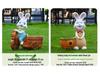 Outdoor Cartoon Rabbit Garden Decoration - Animal Flower Pot Sculpture for Kindergartens and Courtyards
