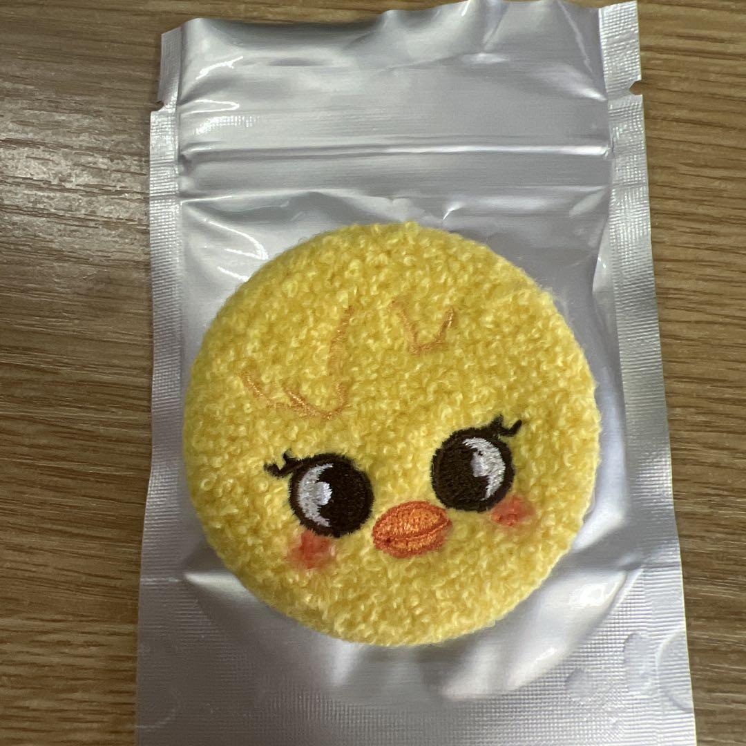 

[USED] Stray Kids Korean Fan Meeting Badge 2025