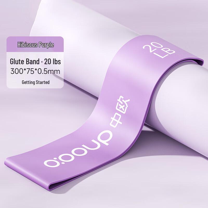 WEZHO Fitness Loop Resistance Band