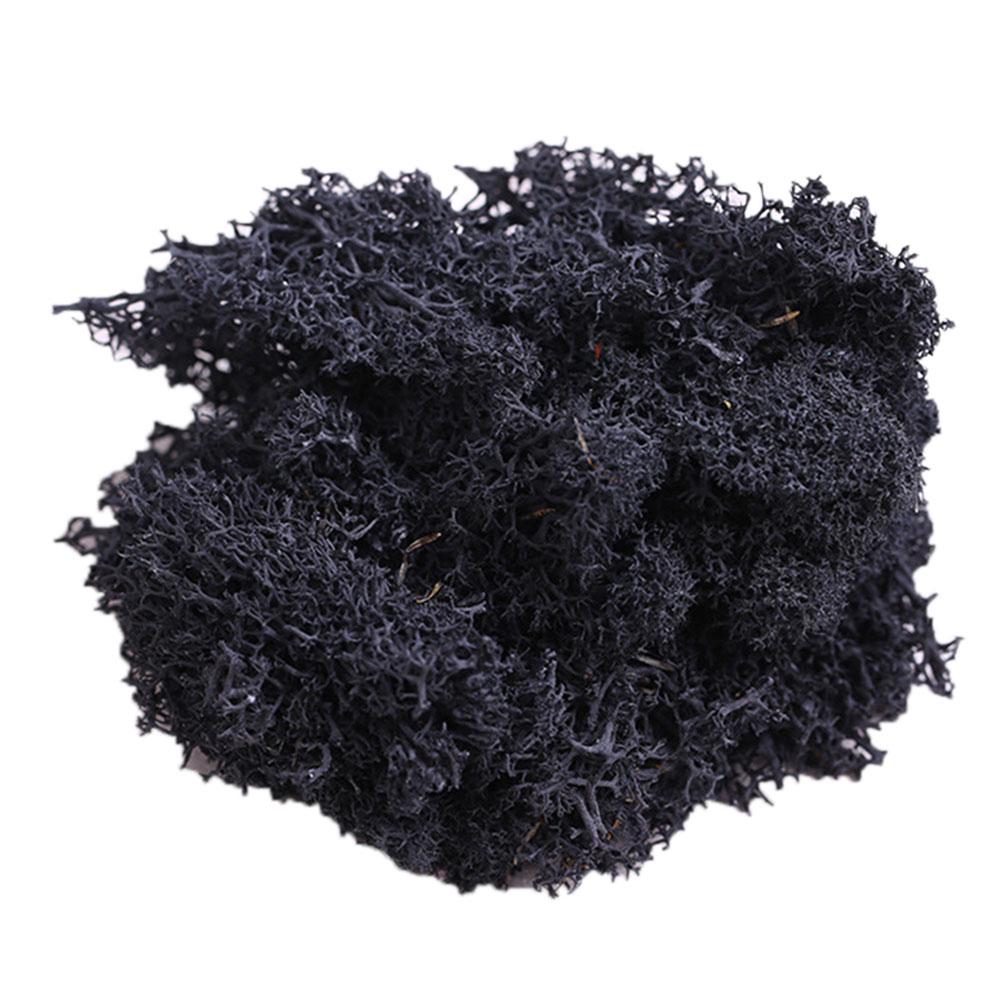 L & B Sztuczna roślina zachowany kwiat renifer mech DIY Craft Garden Home Decor