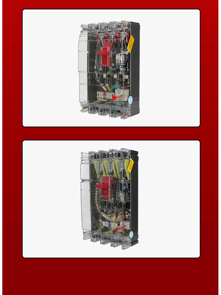 Transparent Plastic Circuit Breaker DZ20L-160A - Anti-Electric Shock Protector for Three-Phase Four-Wire Systems