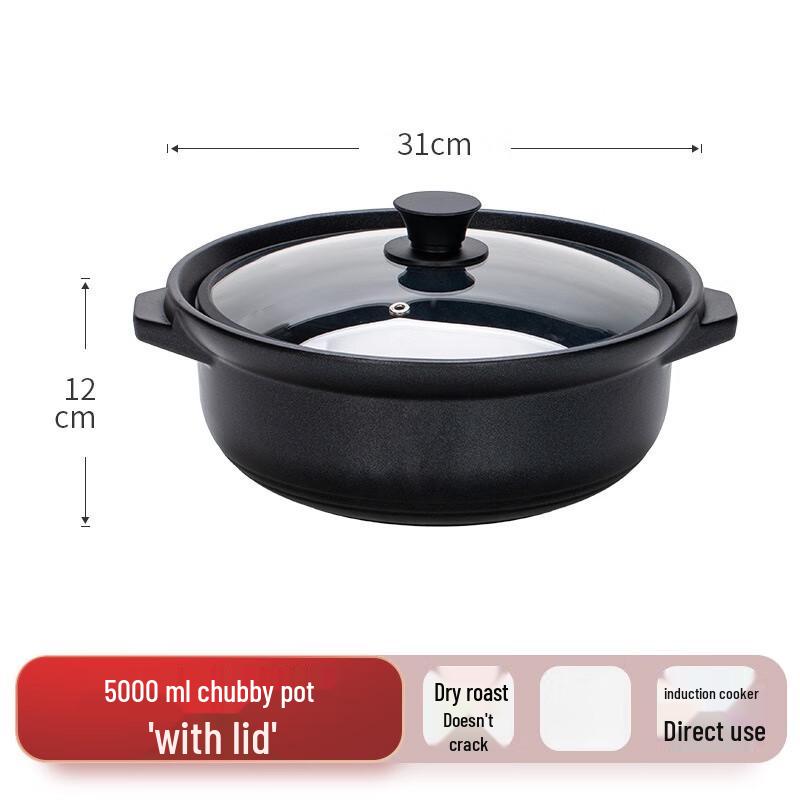 Zhi Shi 5L Universal Casserole Pot