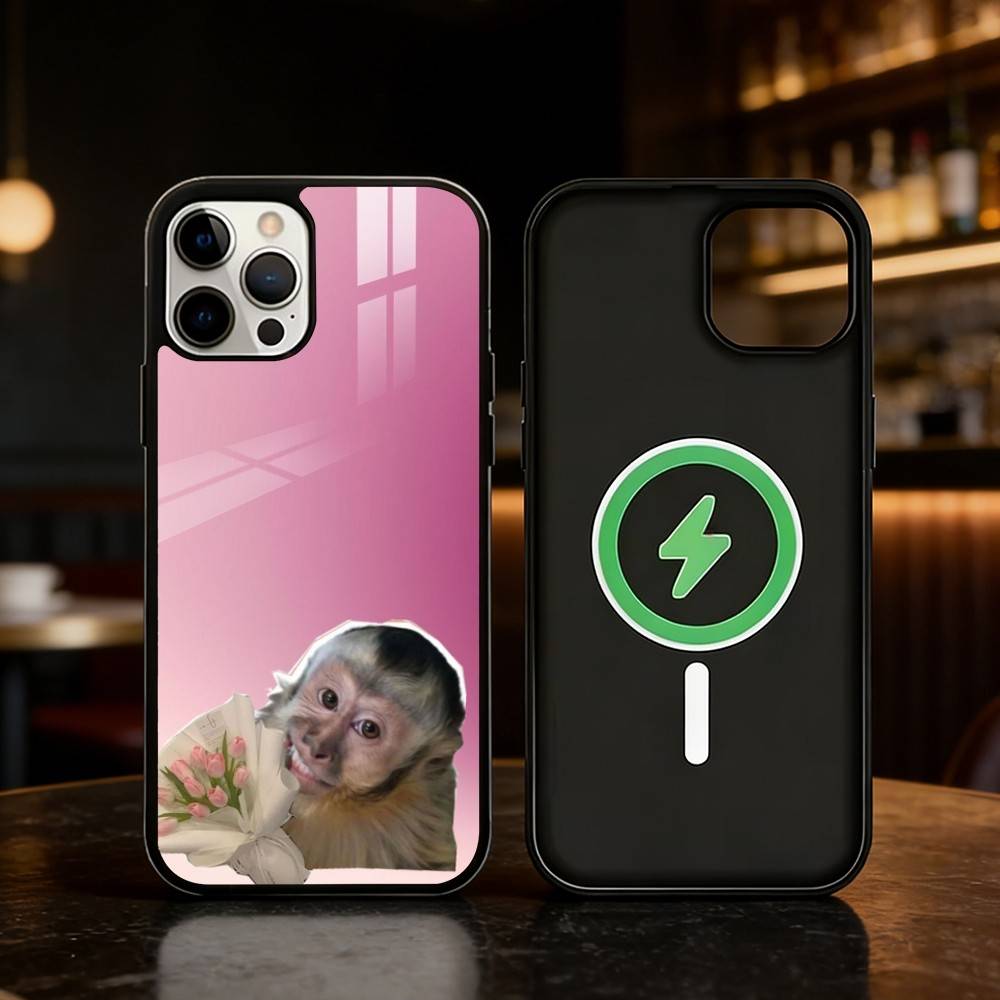 

Monkey abstract Funny Phone Case For iPhone 17/16/15/14/13/12/Plus/Pro/Max for Magnetic Wireless Charging iPhone12