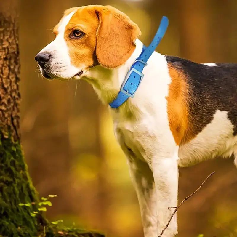 TPU Outdoor Haustier Sicherheits Halsband Hundehalsband - Nachtreflektierendes Jagdhundehalsband Kompatibel mit Hundetracker. Ganzjahresnutzung