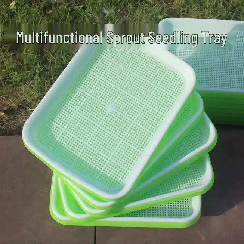 Hydroponic Seedling Tray for Soilless Growing: Vegetable, Bean, Wheat, Garlic Cultivation