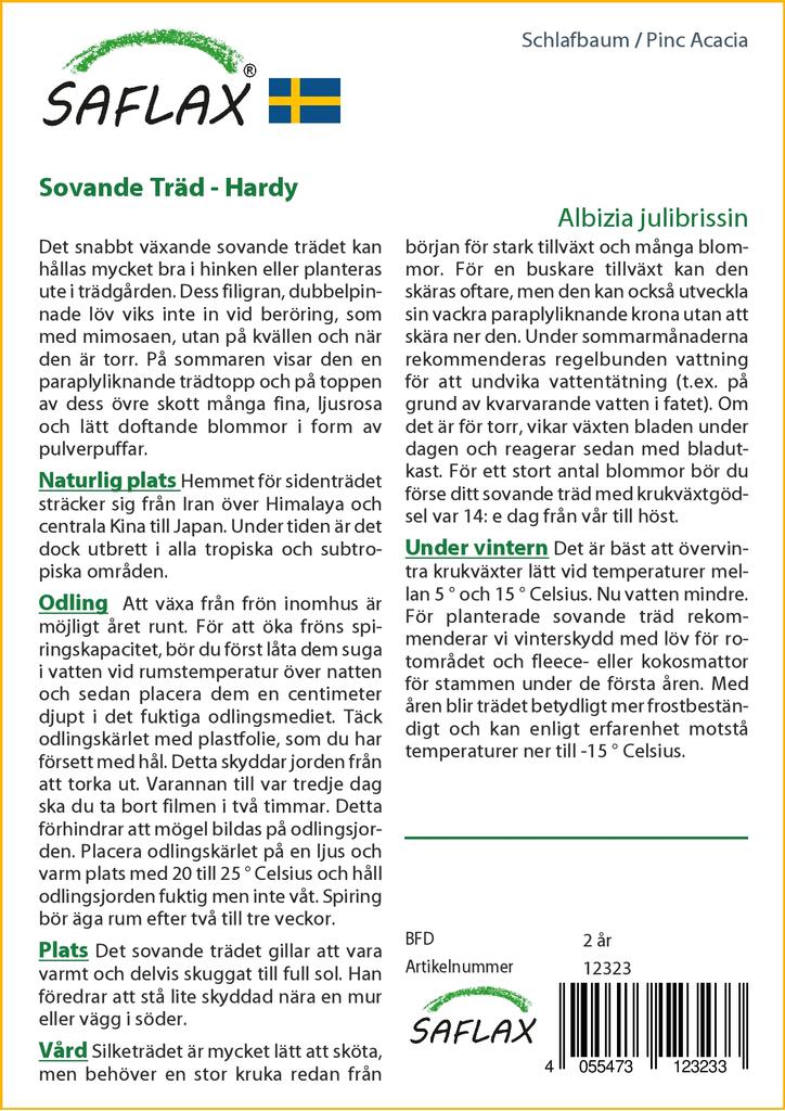 SAFLAX Pinc Akazie - 50 Samen - Albizia julibrissin