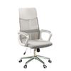 ZISIZ Ergonomic Office Chair