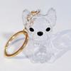 Dog Hair Collector Charm Keychain Transparent Pet Fur Keepsake Capsule Rabbit Memorial Pet Hair Collection Bottle Charm with Keyring Gift for Pet
