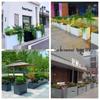 Wrought Iron & Stainless Steel Outdoor Flower Box Divider Fence for Courtyards and Commercial Spaces