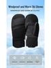 Windproof Ski Gloves for Men & Women, Thick Velvet, Touchscreen-Compatible, Warm 5-Finger Linings for Carving & Winter Sports