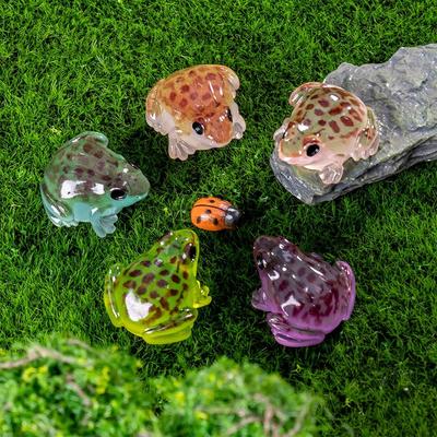 Ev Dekoru – Dekoratif Terraryumlar