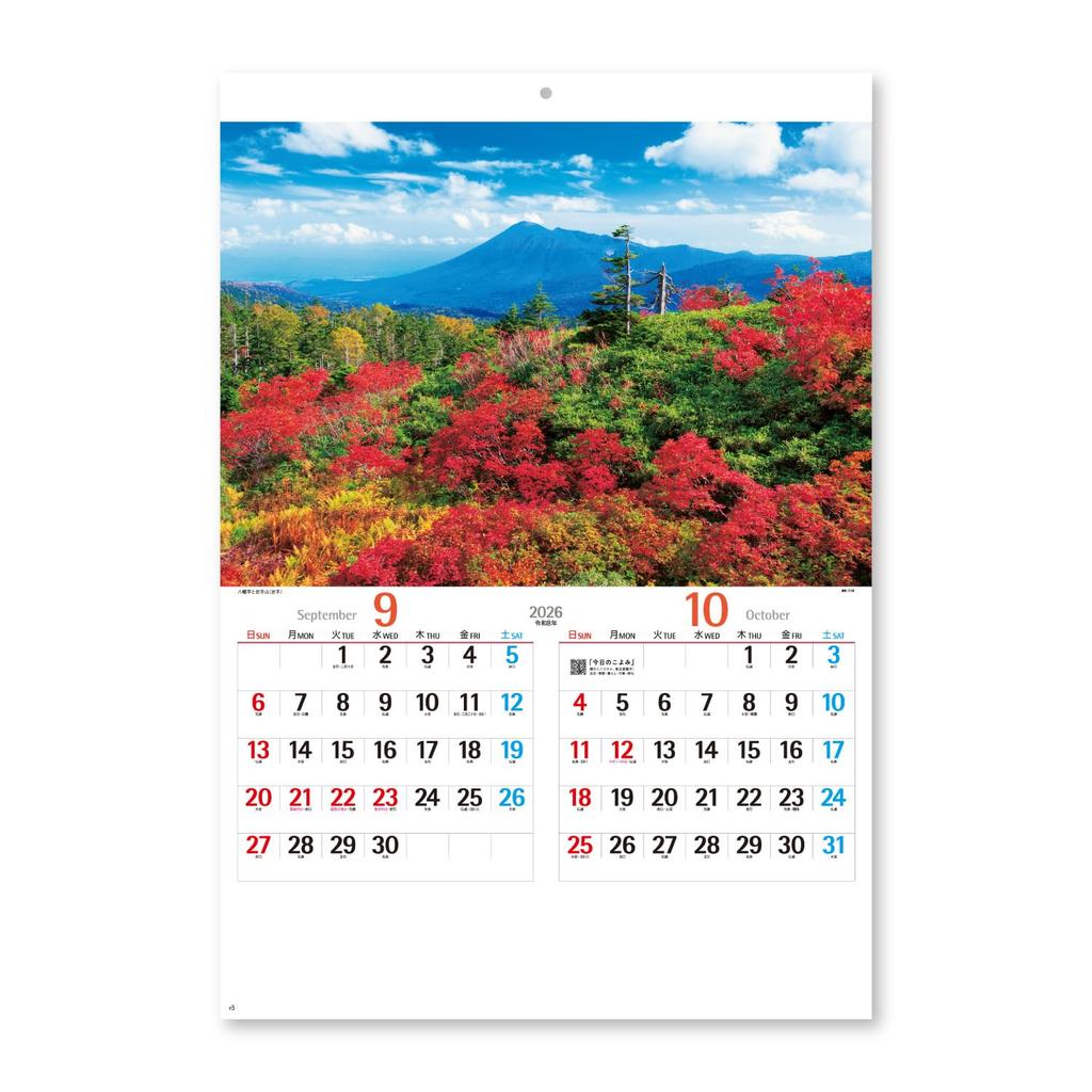 New Japan Calendar 2026 Wall Beautiful Japan with 610 x NK110 Calendar, Chronology, 425mm,