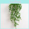 Plant Eucalyptus Wall Plastic Leaves Interior Design Photography Scenes