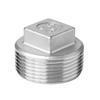 304/316L Stainless Steel Square Head Male Thread Pipe Plug Cap