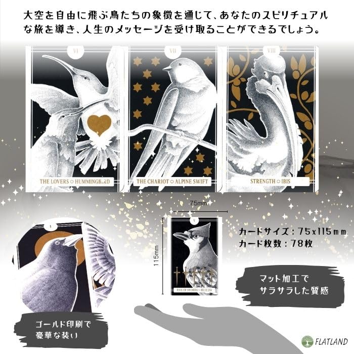 Avian Tarot Tarot Reading Instructions, Japanese Instruction Manual Included, Authentic Tarot Cards, 78 Birds