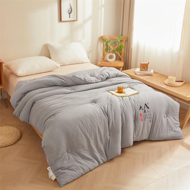 Qixiai Super Soft Soy Fiber All-Season Duvet
