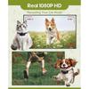 Cat Camera Collar with Video Recording,with 16G SD Card 1080p HD Mini Action Sport Cam,All Activities Pet Supplies/Stuff
