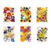 25Pcs Natural Pressed Dried Flower Leaves Set For Jewelry Soap Making
