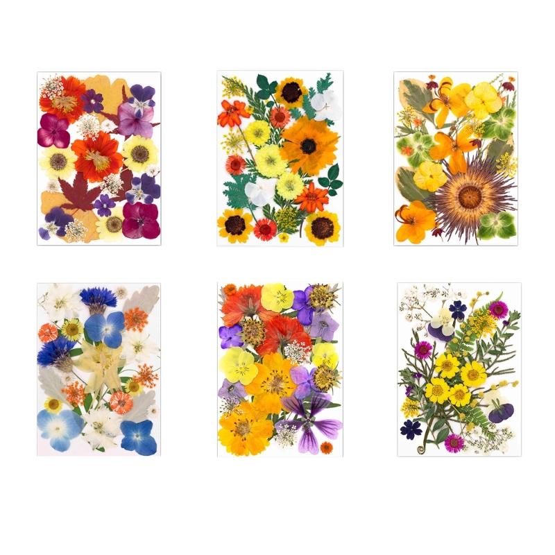 25Pcs Natural Pressed Dried Flower Leaves Set For Jewelry Soap Making