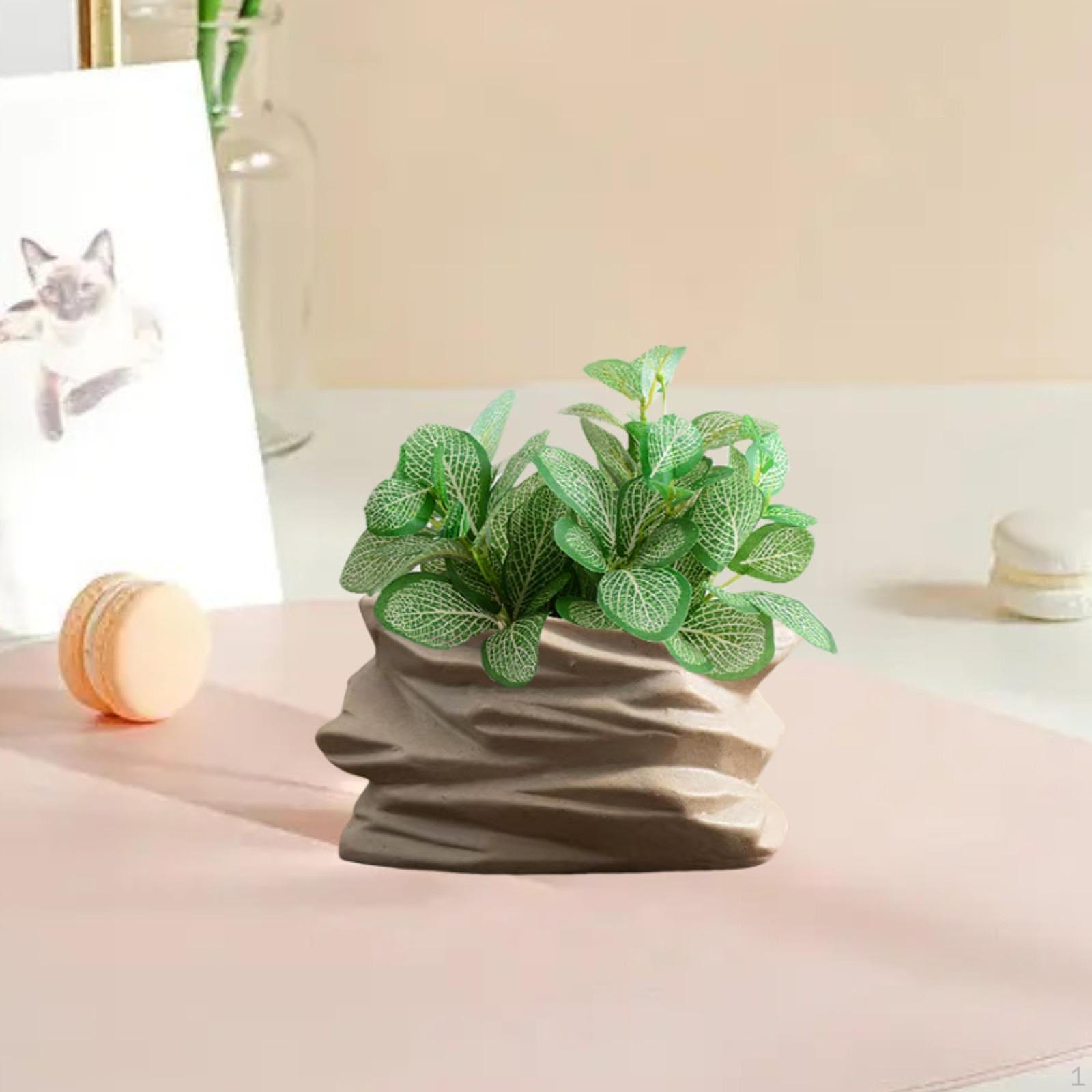 

Bonsai Planter with Drainage for Indoor Use Style C