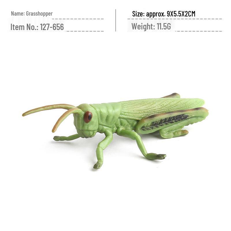 Cross-Border Children's Cognitive Insect Model Toy Set