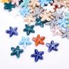 10pcs Handmade Craft Ceramic Spacer Loose Beads Ceramic Jewelry Making Material Starfish Bead  Women