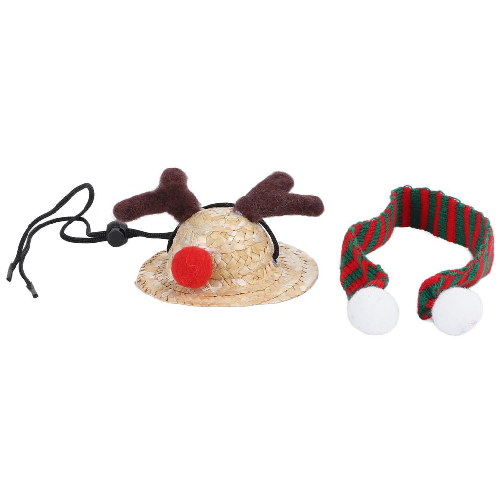 Bearded Dragon Santa Hat Cute Soft Scarf Adjustable Size Bright Colors Lizard Santa Hat with Scarf