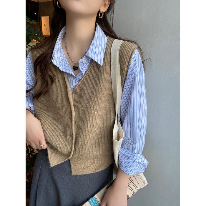 Knitted vest, vest, women's new vest in autumn and winter, stacked with foreign style fashionable sleeveless sweater and jacket
