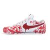 Court Legacy Low Top Skateboard Shoes Unisex Red White DH3162-100(Team1036- )