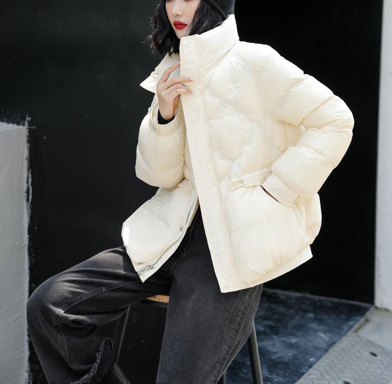 Daunenjacke Damen Kurzstil 2024 Neu Winter Stehkragen Warm Weiße Entendaunen