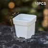 Self Watering Transparent Nursery Pots Mini Planters for  Seeds Herb Growing Home or Classroom