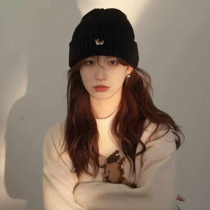 Trendy versatile autumn and winter ear protection puppy hat men's and women's hats knitted wool cold hat embroidery to keep warm